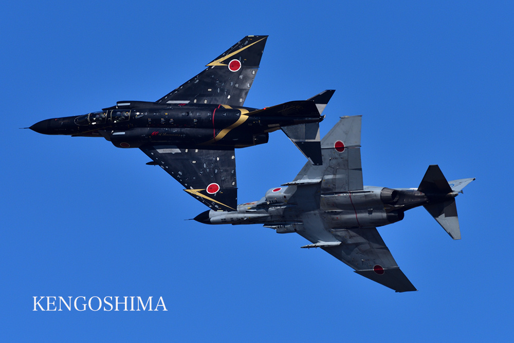 dsc_4100.jpg